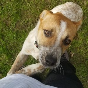 Meet your Posher, Mike